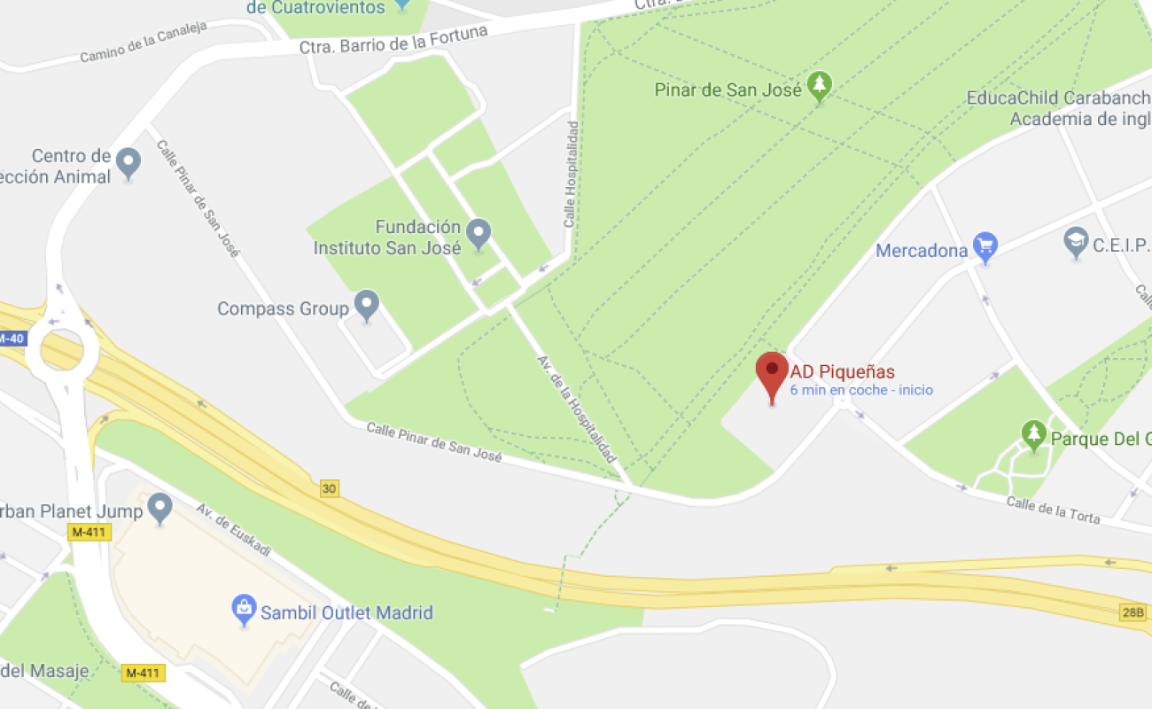 Calle Pinar de San José, 64, 28054 Madrid